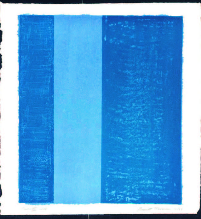 blue stripes print