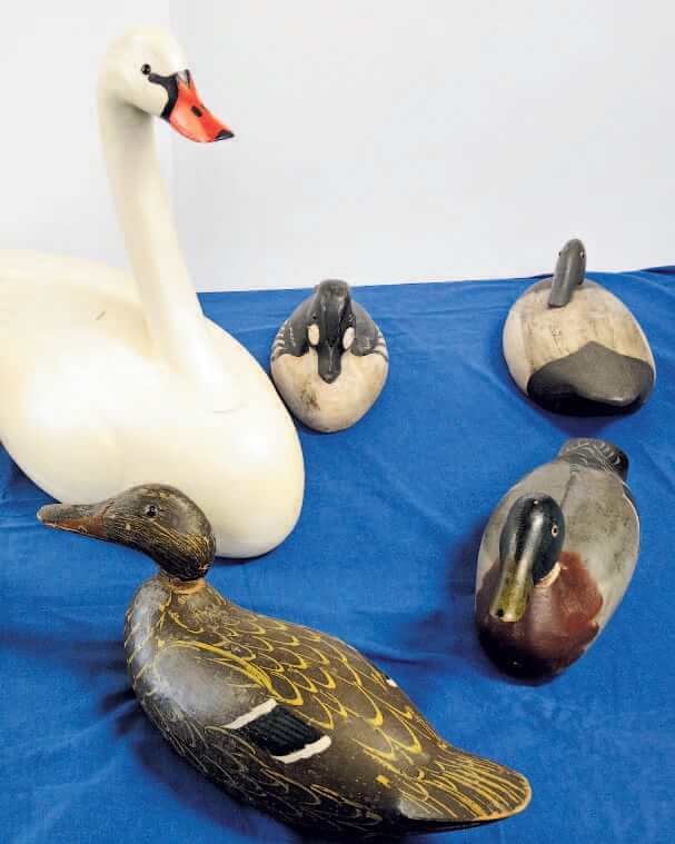 duck assortment